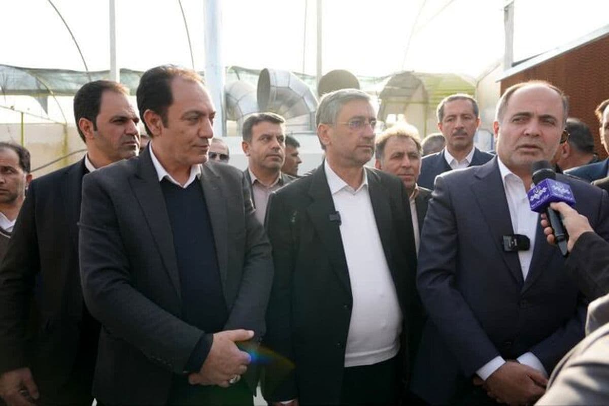 برنج