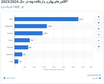 پنبه